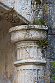 Selbstblühende Pflanzen wachsen in den Säulen des französischen Chateau Lot et Garonne aus dem 18