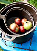 Windfall apples in saucepans on gas stove Isle of Wight, UK
