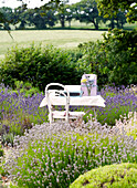 Schreibmaschine auf einem Tisch in Lavendel Isle of Wight, UK