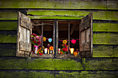 Offene Fensterläden einer rustikalen Holzhütte mit Schnittblumen im Herbst UK