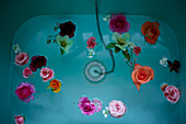 Vintage Blooms cut flowers floating in a turquiose bath