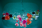 Vintage Blooms cut flowers floating in a turquiose bath
