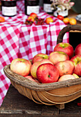 Sussex Trug gefüllt mit Äpfeln auf einer Bank neben einem rot-weiß karierten Tuch