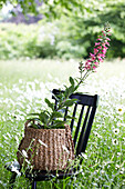 Foxglove picnic basket with foxglove