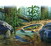Ichthyostega tetrapod, illustration