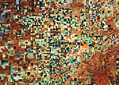 Agricultural fields, Hereford, Texas, USA, satellite image