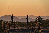 Powered parachutes in the Sonoran Desert, Arizona, USA