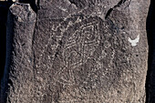 Petroglyph of a fish, Three Rivers Petroglyph Site, USA