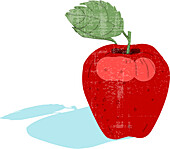 Red apple, illustration