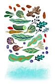 Healthy food, illustration