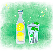 Lemonade and herbal drink, illustration