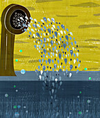Water drops, illustration