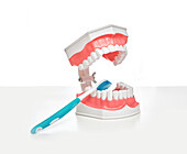 Dental hygiene, conceptual image