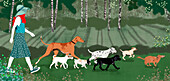 Woman walking with dogs in a forest, illustration