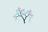 Family tree, illustration