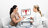 Gynaecology consultation