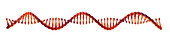 RNA molecule, illustration