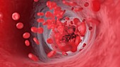 Red blood cells flowing through an artery, illustration