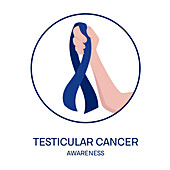 Testicular cancer awareness ribbon, conceptual