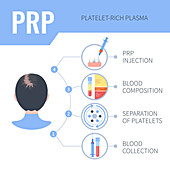 PRP hair regrowth therapy in women, illustration