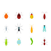 Pests, illustration