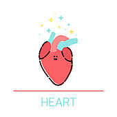 Healthy heart, conceptual illustration