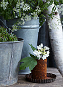 Rusty tin as a vase for white flowers, succulents and wild carrot