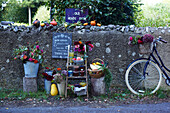 Sales stand with vegetables and flowers on the roadside with bicycle