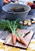 Freshly harvested carrots on wooden board with knife