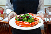Waiter serves lobster with salad