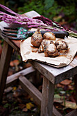 Flower bulbs and garden tools on a rustic wooden stool