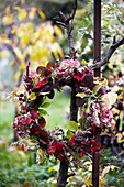 Autumn wreath of colorful leaves and berries in the garden