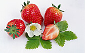 Three strawberries, one strawberry half and strawberry blossom