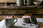 Eine Tasse heiße Schokolade mit Mini-Marshmallows, Zimtstange und Gewürzen