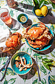 Cooked crab, lemos, rose wine on table, sunlight immitation
