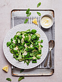 Grüner Salat mit Gurke und Blattspinat, schwarzem Sesam und Zitronendressing