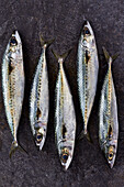 Five mackerel on a dark surface