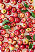 Red apples with leaves (full-frame)