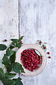 Raspberries in a wooden bowl on shabby background surrounded by raspberry vine
