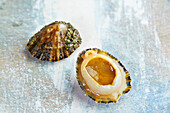 Raw limpet