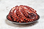 Ganzer, gekochter galizischer Oktopus