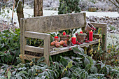 Weihnachtlich dekorierter Gartenbank mit Tontöpfen, roten Kerzen und Zieräpfeln