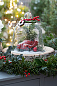 Toy car under glass bell jar, and garland of fir branch and holly 'Blue Princess
