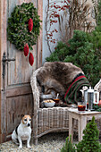 Weihnachtlich dekorierter, gemütlicher Sitzplatz mit Hund