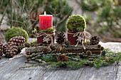 Weihnachtsdekoration mit Koniferenzweigen (Coniferales), Lärchen (Larix), Zapfen und Kerzen
