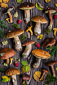 Wild Raspberry and Wild Mushroom Pattern