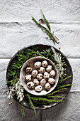 Quail eggs in a shell surrounded by herbs