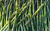 Green asparagus spears (full picture)