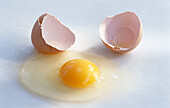 Ein aufgeschlagenes Ei und braune Eierschalen
