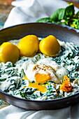 Spinach with poached eggs